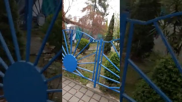 Лягушки квакают (Гуляю в районе пансионата Фрегат в Адлере.