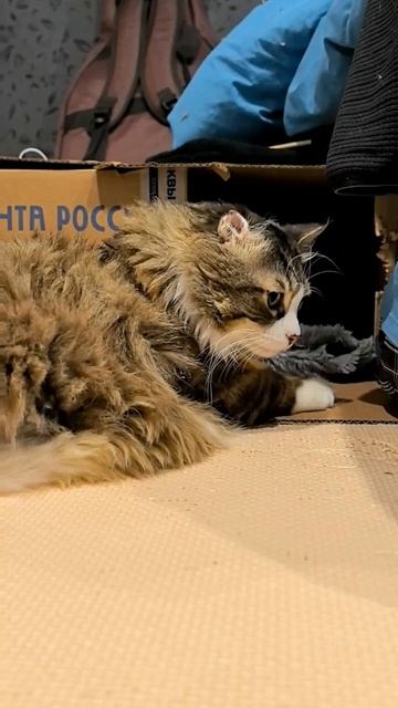 Доступное жильё смотреть онлайн