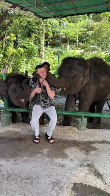 Тайланд,не много кадров со слонами)