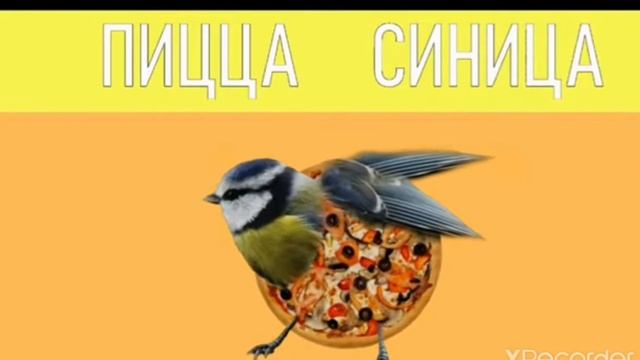 мем пицца синица смотреть онлайн