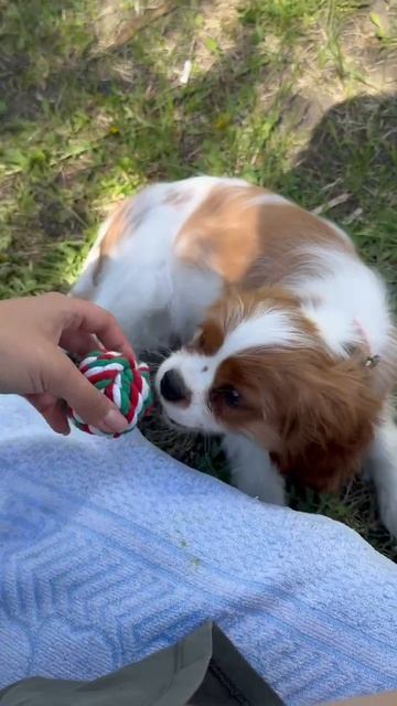 1000005362.mp4 смотреть онлайн