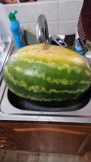 СУМАСШЕДШИЕ АРБУЗЫ ИЗ ГОРОДА СЛАВЯНСК НА КУБАНИ! ВКУС? смотреть онлайн