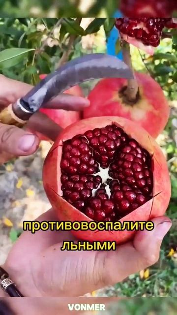 ЧТО БУДЕТ ЕСЛЬ КУШАТЬ ГРАНАТ КАЖДЫИ ДЕНЬ 🤯