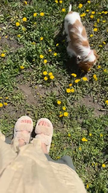 1000005367.mp4 смотреть онлайн