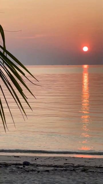 закадка Что может быть больше у человека, чем у короля, смотреть онлайн