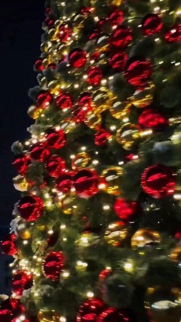 Смотри какая красивая Ёлка #новыйгод #елка #москва #рук смотреть онлайн