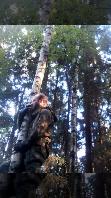 Русская березка смотреть онлайн