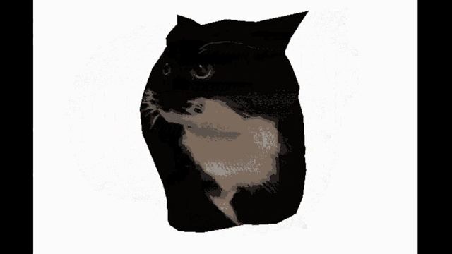 КОТ КРУТИТСЯ 1 ЧАС смотреть онлайн