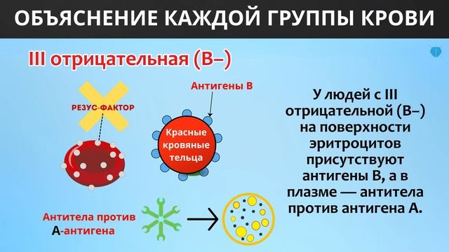 Outdoor Decorating Trends