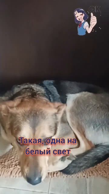 Такая, какая есть! 😘😻Такая одна на белый свет! #shorts смотреть онлайн