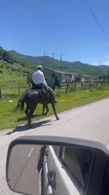 обошёл как стоячего. карачаевская порода лошадей приз смотреть онлайн
