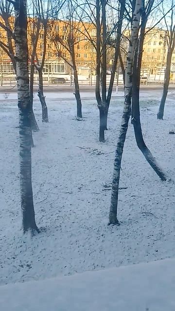 В Ленинградской области снег смотреть онлайн