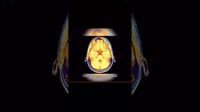 Что происходит после смерти #любовь #рекомендации #global