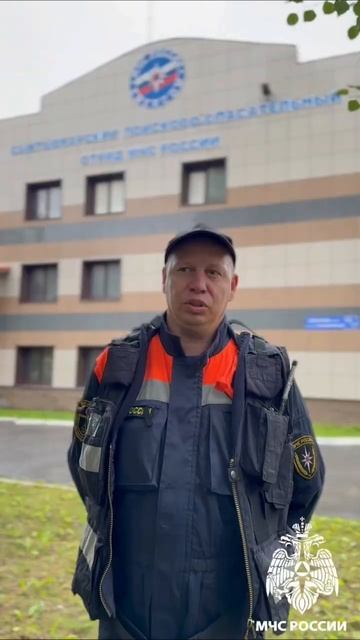 Что делать если....? Увидел медведя смотреть онлайн