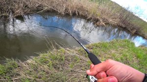 Я в ШОКЕ, СКОЛЬКО в этом ручье ГОЛОДНОЙ ЩУКИ!! Рыбалка на спиннинг в мае