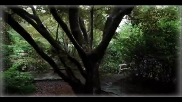 John Lennon - Imagine смотреть онлайн