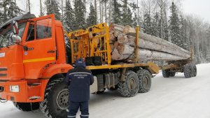 КАМАЗ,хлыстовая вывозка леса