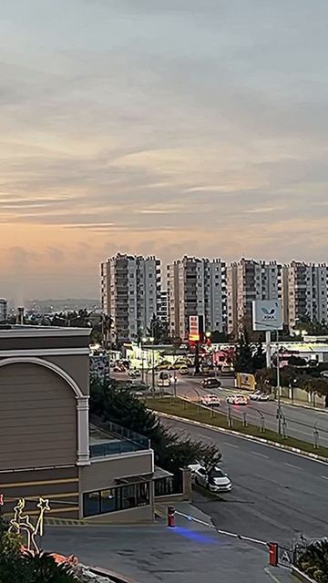 Почему я не ем мясо смотреть онлайн