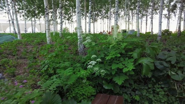 4K.Moscow Walk - The Spirits Of The Trees In GES-2’s Forest.