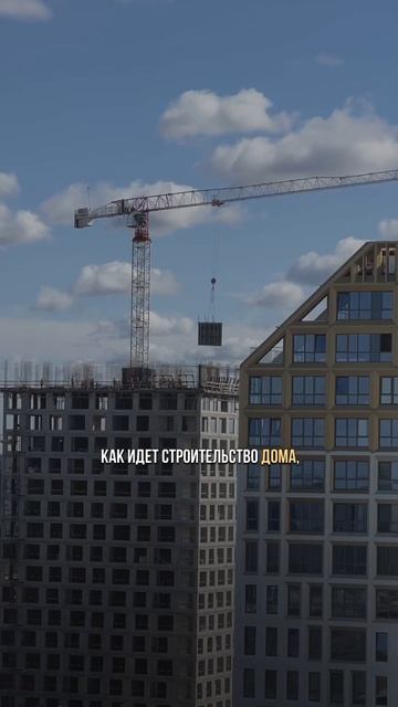 Где проверить застройщика перед покупкой недвижимост смотреть онлайн