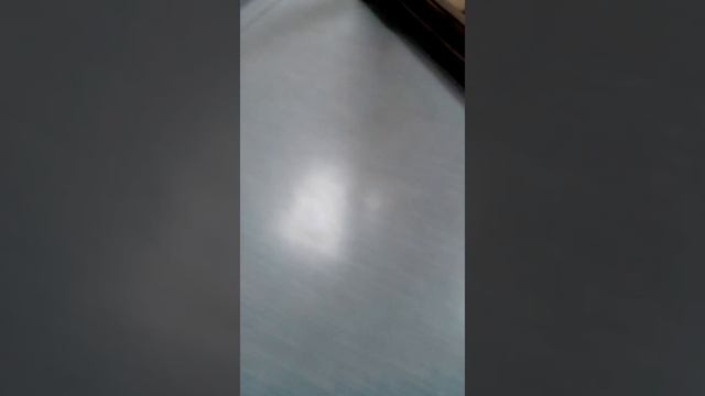 VID 20181017 130444 (Акт гражданского неповиновения 2) смотреть онлайн