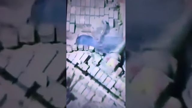 Граната на хробачий танк! МАДЯР🇺🇦