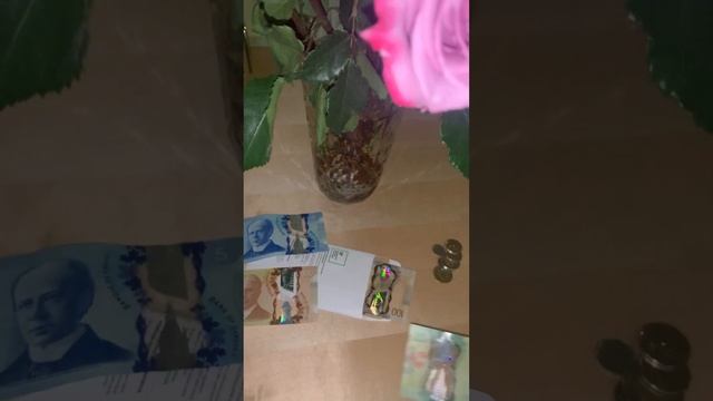 #Канадский листик😂 #деньги #валюта #канада смотреть онлайн