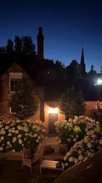 #hydrangea#гортензия#garden#гортензія#flowers #park#jardin#shorts#アジサイ#na смотреть онлайн