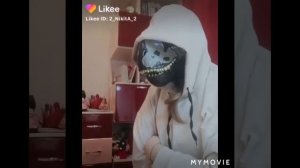 топ видео с фурри динозавров из лайка