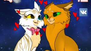 Снимал я и моя подруга❤️