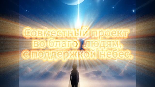 Новый проект Мудрая сова смотреть онлайн