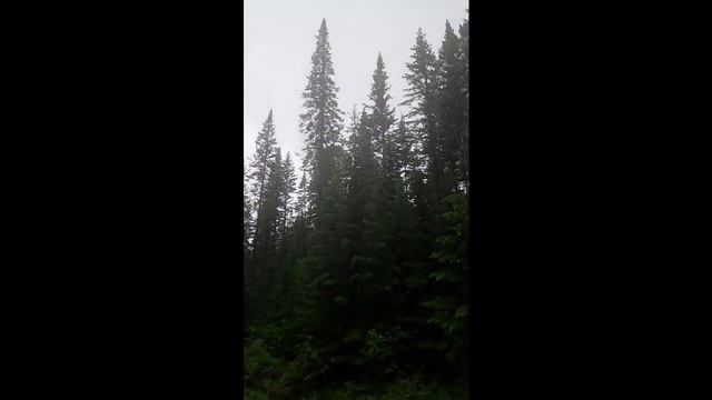 Щучье озеро - Мантуриха. Улан-Удэ смотреть онлайн