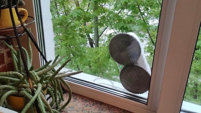 Шагающий робот-мойщик окон на примере Hutt DDC55 смотреть онлайн