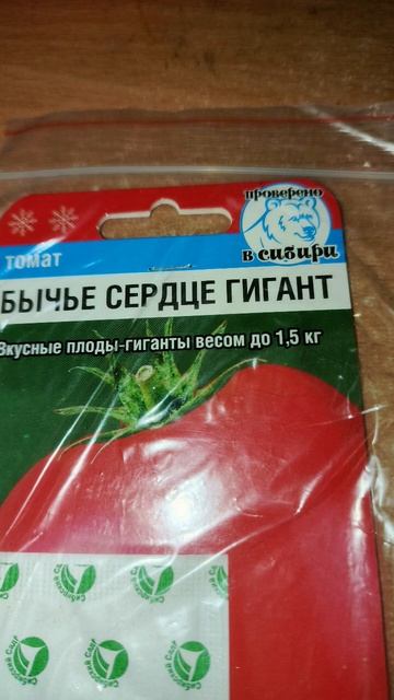 Самый лучший томат в мире 2024 г.!Высокоурожайный, вкусн? смотреть онлайн
