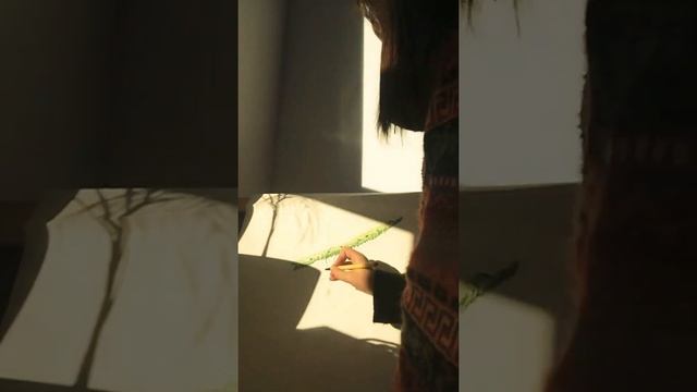 Рисуем ветку ёлки смотреть онлайн