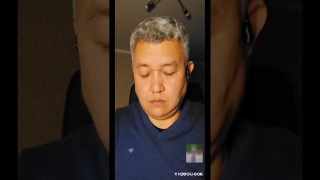 Дельфин и создание божье смотреть онлайн