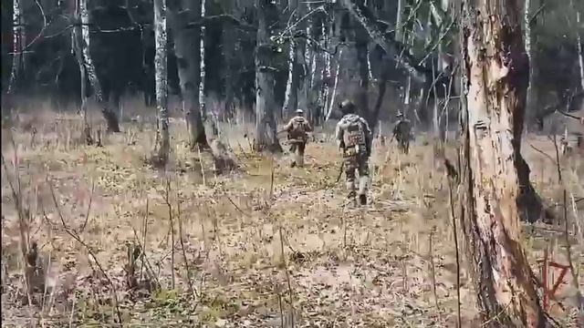 Тактико-специальные занятия СОБР "Столица" смотреть онлайн