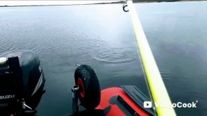 Рыба чехонь в режиме лифта р. Свирь