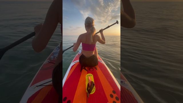 Романтика в открытом океане 😊дельфины, закаты и расс? смотреть онлайн