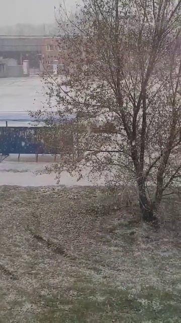 30.10.2023 г. Алтайский край смотреть онлайн