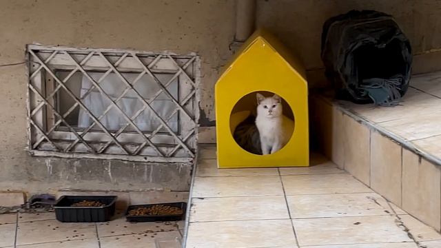 Как я провела день в дождливом Стамбуле в марте | 8 март смотреть онлайн