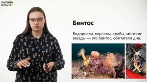 Жизнь в океане. Видеоурок 22. География 6 класс