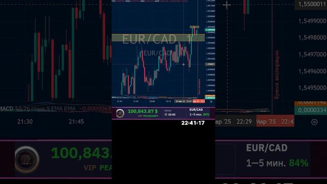 LIVE: Трейдинг Прямой Эфир Binarium