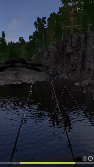 Озеро Ладожское Трофейный Карась   #fishing #rr4 #трофей #троф #ладога