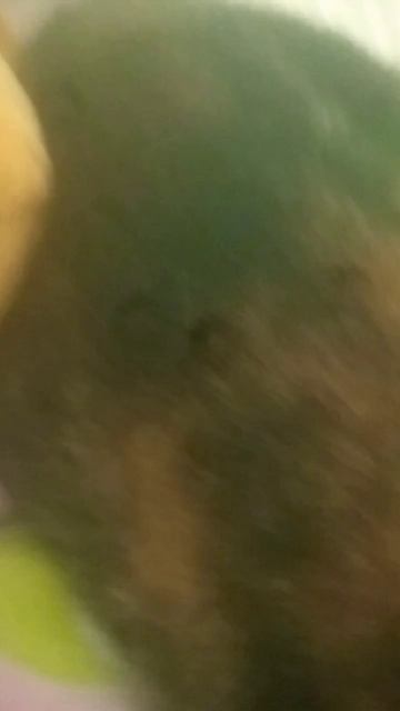 друзья я вас очень люблю но у меня есть вопрос почему в смотреть онлайн