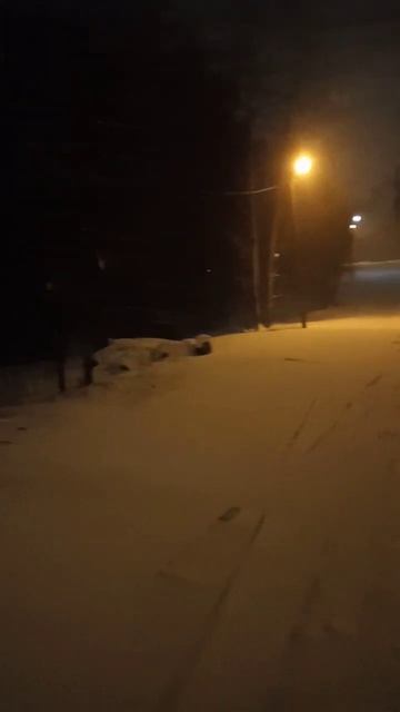 Погода в Ленинградской области ❄️☃️🌨️🎿#ленингра? смотреть онлайн