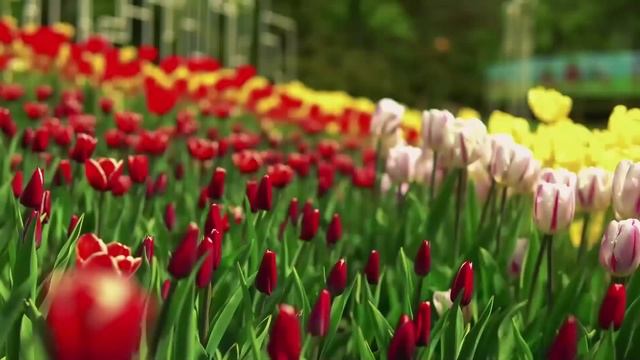 ПОСМОТРИ МНЕ В ОКНО! Ужасающие истории на ночь. Страши? смотреть онлайн