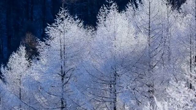 Красивая Музыка ' Эннио Моррикони " из филма Профессионал смотреть онлайн