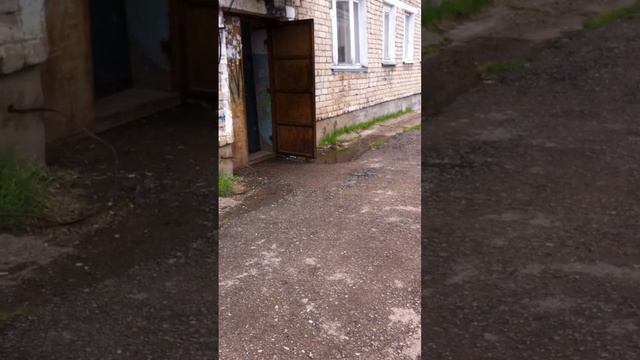 Виктор ( Верещагино — город в Пермском крае )