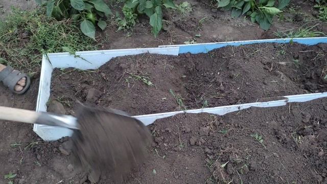 Как правильно посадить малину Сажаем малину по новому. Малина не разрастается!